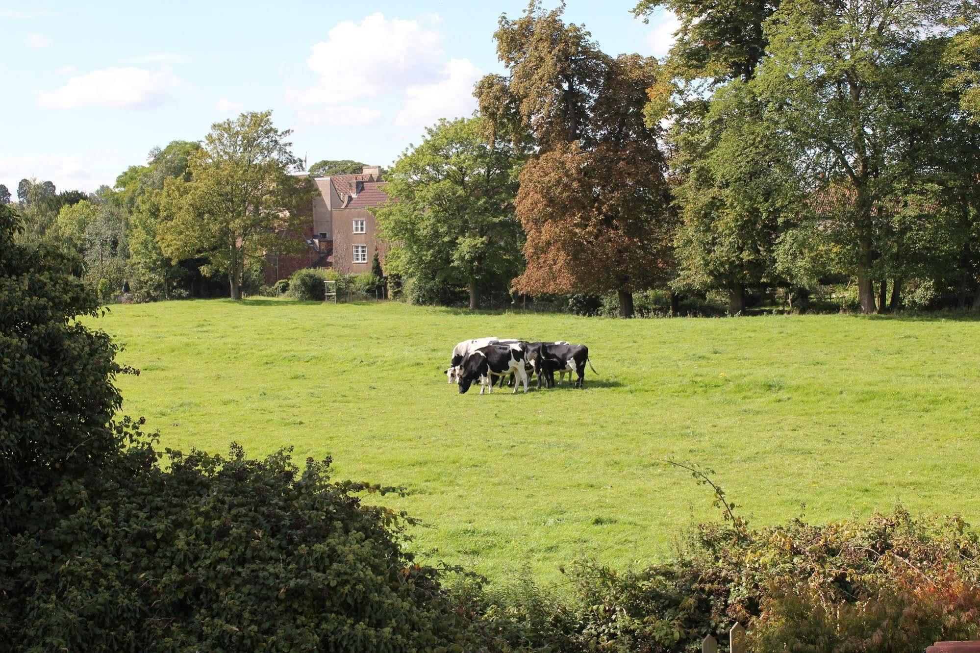 The Coach House Bed & Breakfast Winterbourne Eksteriør bilde
